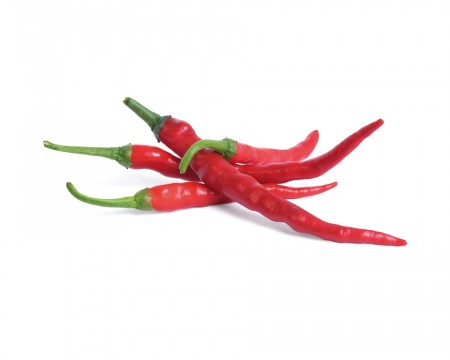 Hot Chili - Urtepod